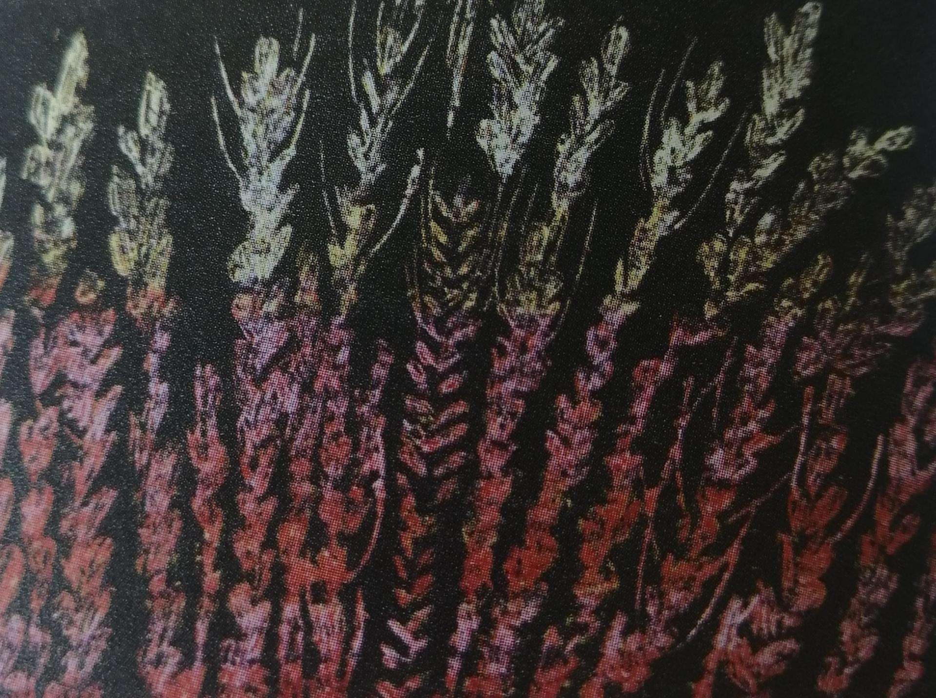 Aktualnost - 