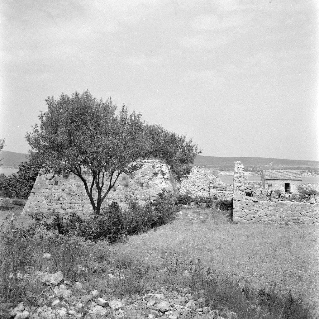 Aktualnost - 