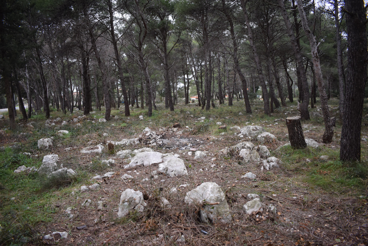 Aktualnost - 