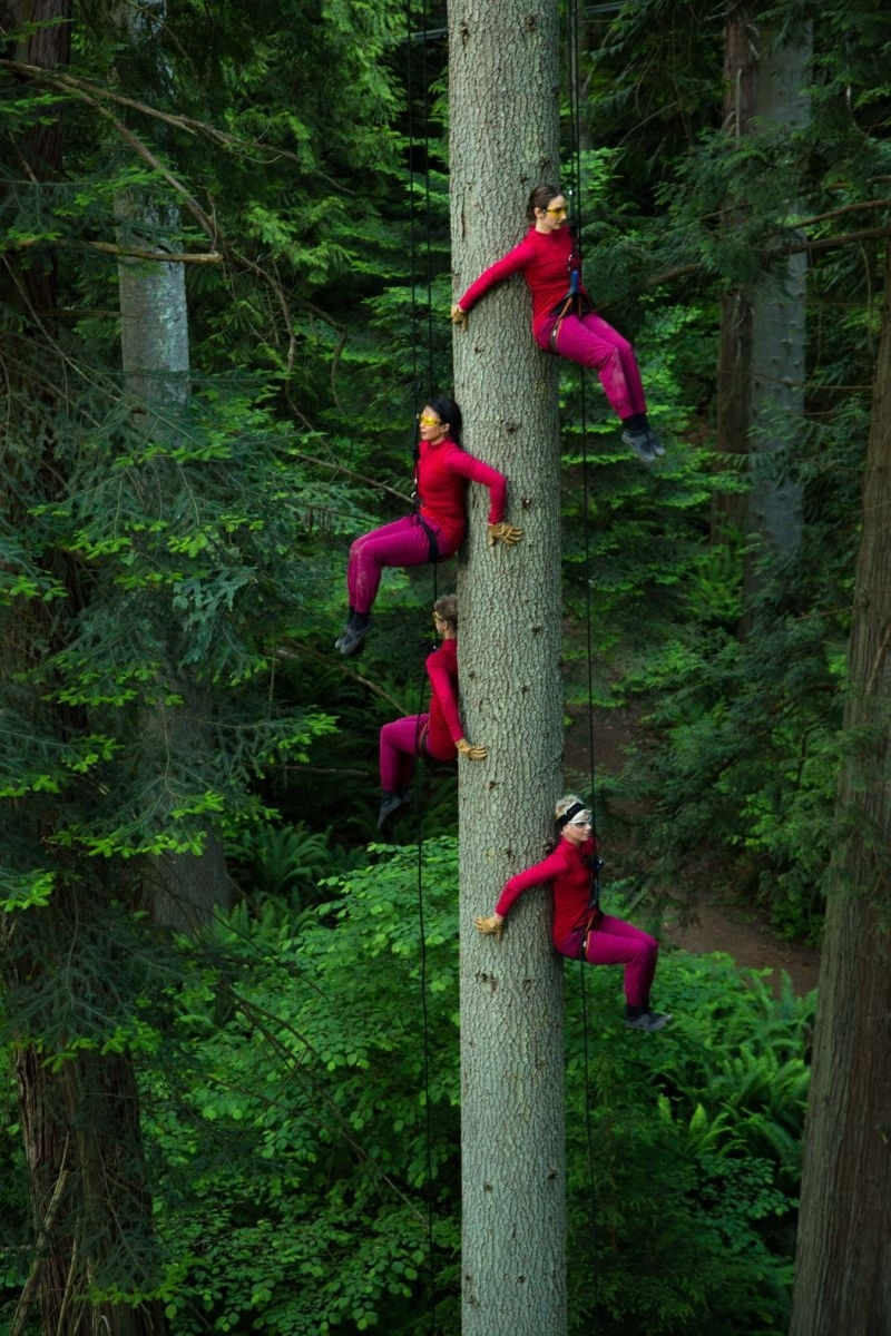 Aktualnost - 
