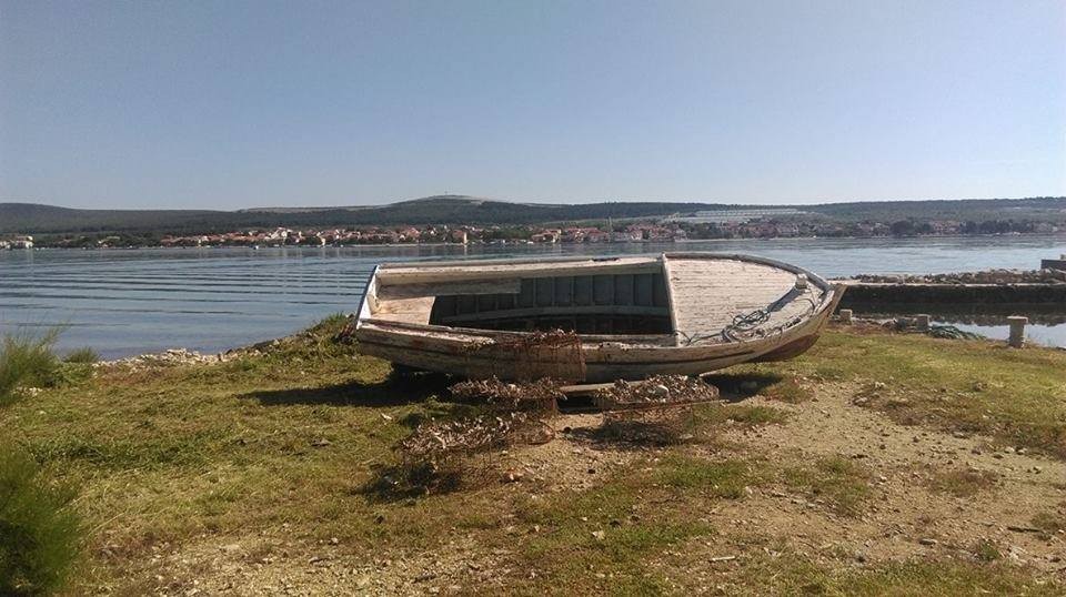 Aktualnost - 