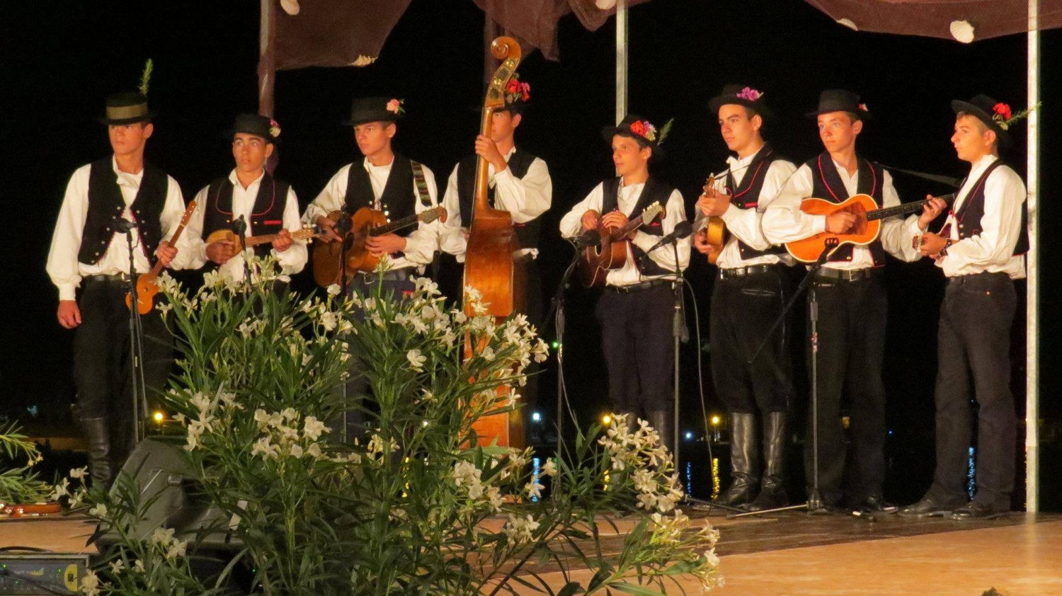 Aktualnost - 