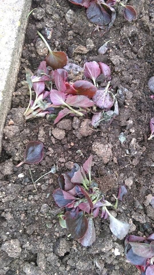 Aktualnost - 